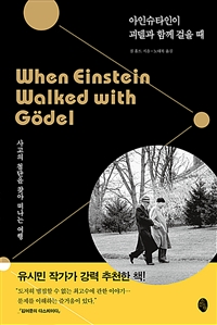 아인슈타인이 괴델과 함께 걸을 때 - 사고의 첨단을 찾아 떠나는 여행 (커버이미지)